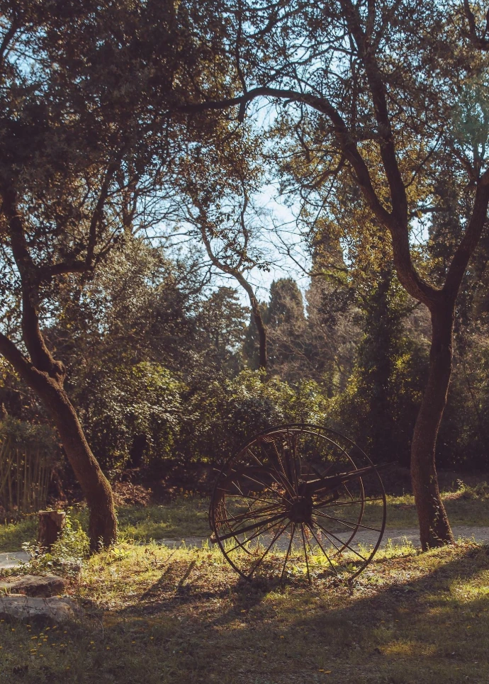 Paysage-Naturel-Domaine-Henri-Milan-Provence