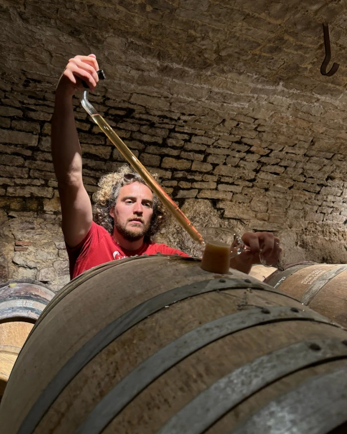 Damien-Guadagnolo-Orbagna-Vigneron-Côtes-du-Jura