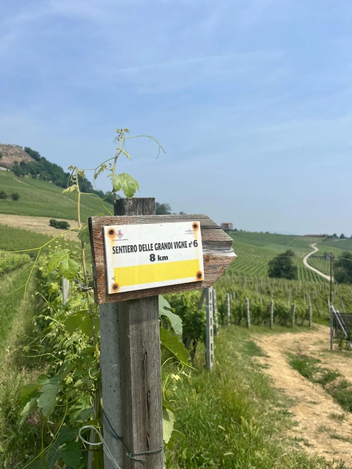Maffrei-Mascarello-Barolo-Langhe-Vignes-Torriglione