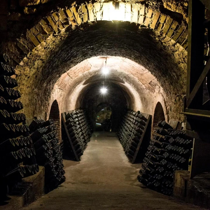 Caves-Champagne-Alexandre-Chartogne-Taillet-Merfy