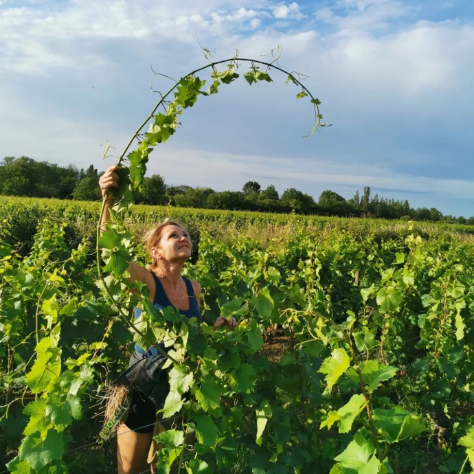 Bernard-Bonin-Meursault-Bourgogne-Véronique-Vignes