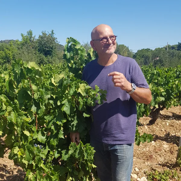 Eric Pfifferling dans les vignes du Domaine de l'Anglore à Tavel - Vallée du Rhône