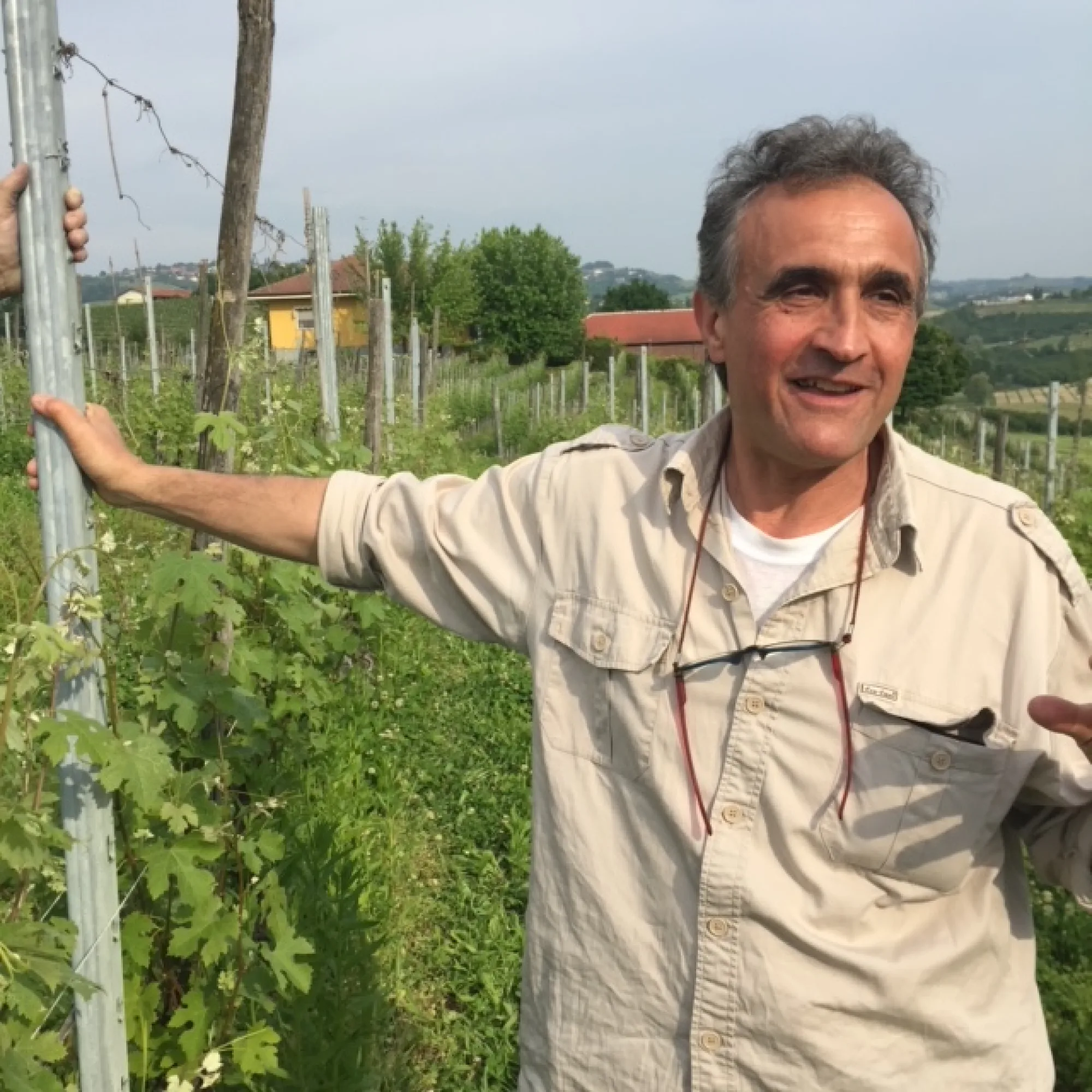 Giovanni Canonica dans sa cave, entre ses foudres de chêne de Slavonie