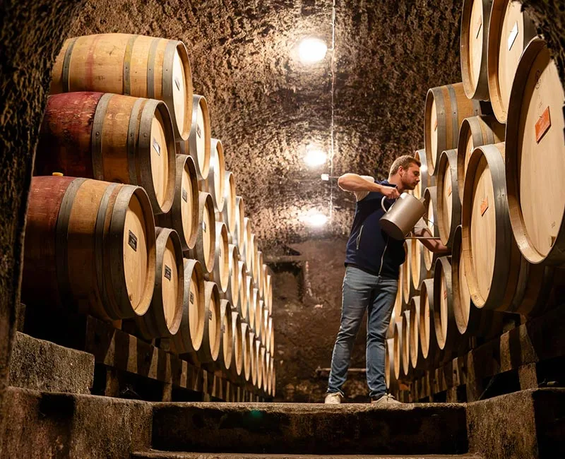 Travail du vin lors de l'élevage au Domaine Bruno Clair, à Marsannay, en Bourgogne