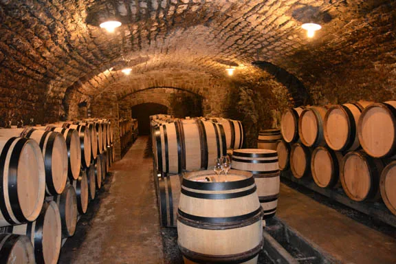 La cave voûtée du Domaine Dauvissat à Chablis et ses barriques d'élevage