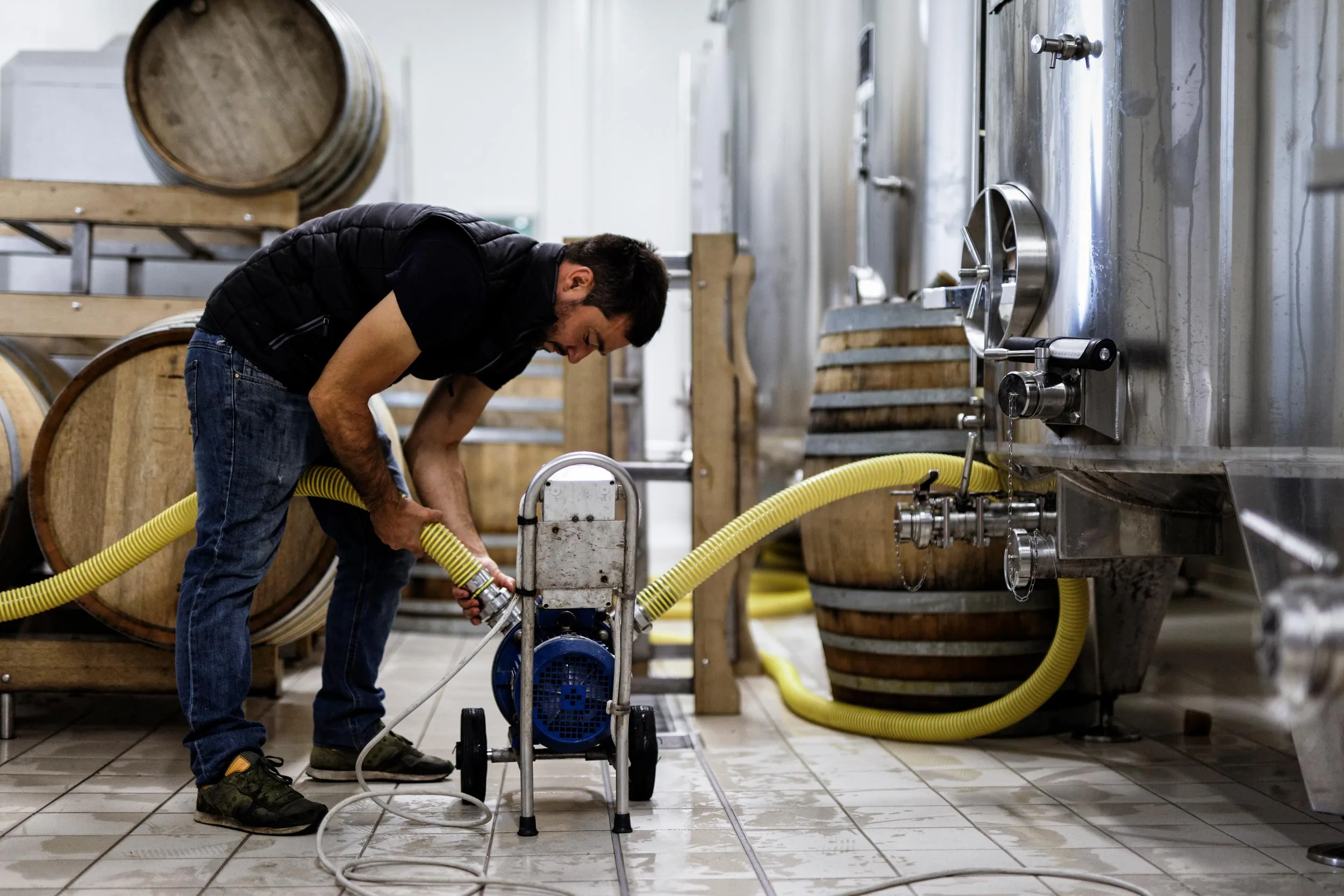 Travail au chai chez Étienne Calsac, entre cuves inox et barriques