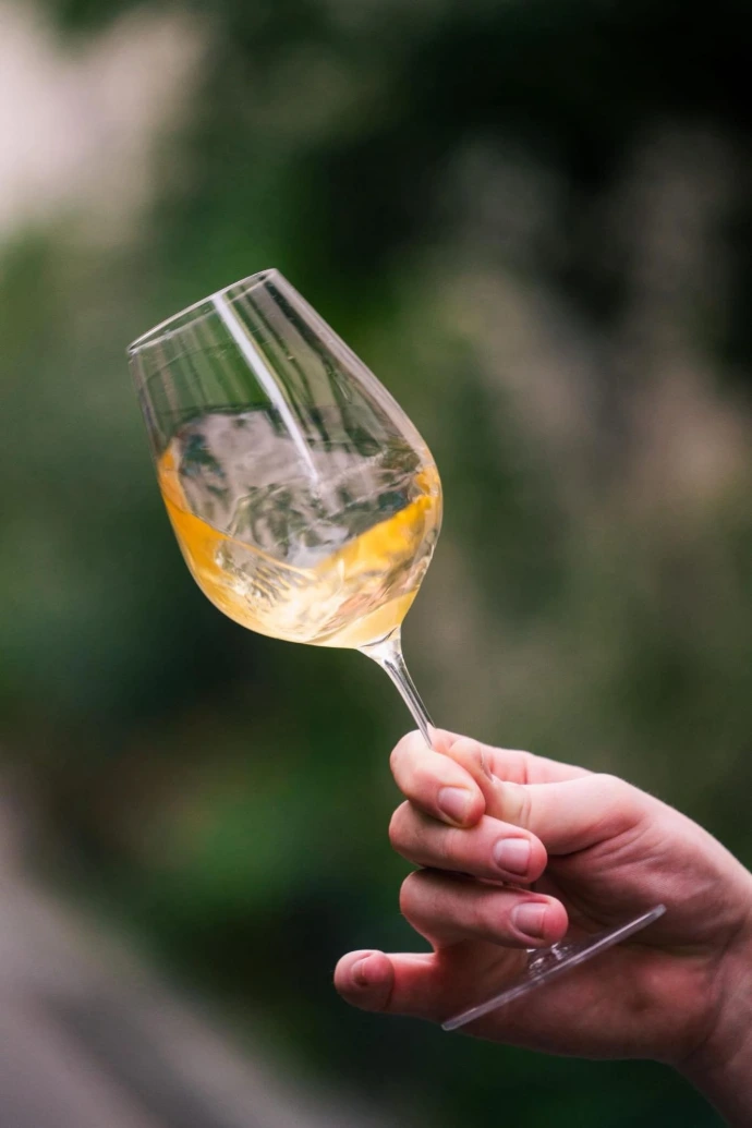 Formule initiation dégustation par les sommeliers Triple Vins