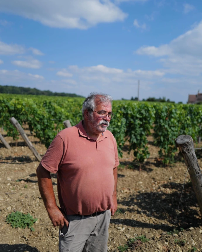 Pierre-Gauthier-Domaine-Bel-Air-Vignes-Bourgueil-Clos-Nouveau