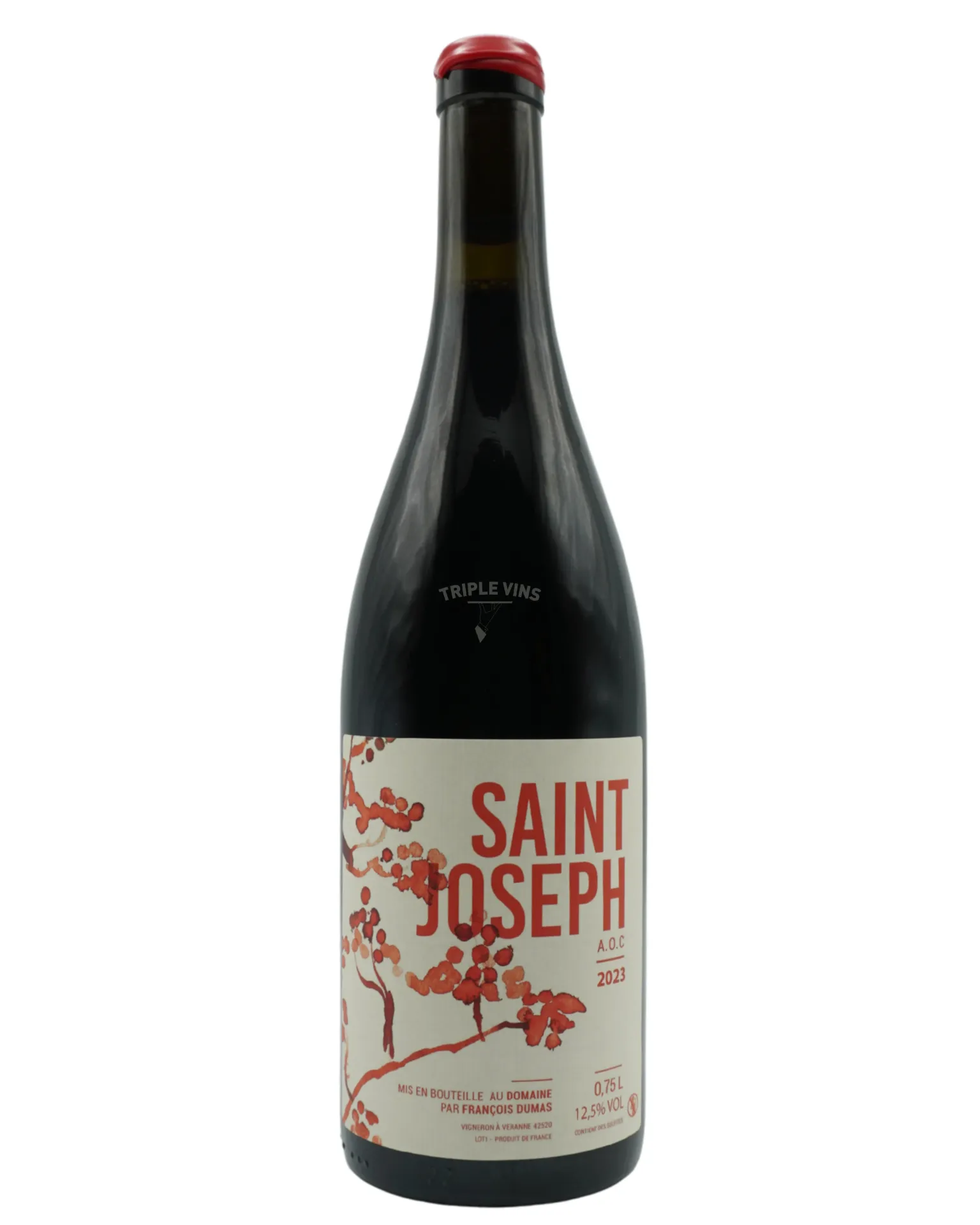 Saint-Joseph - François Dumas 2023
