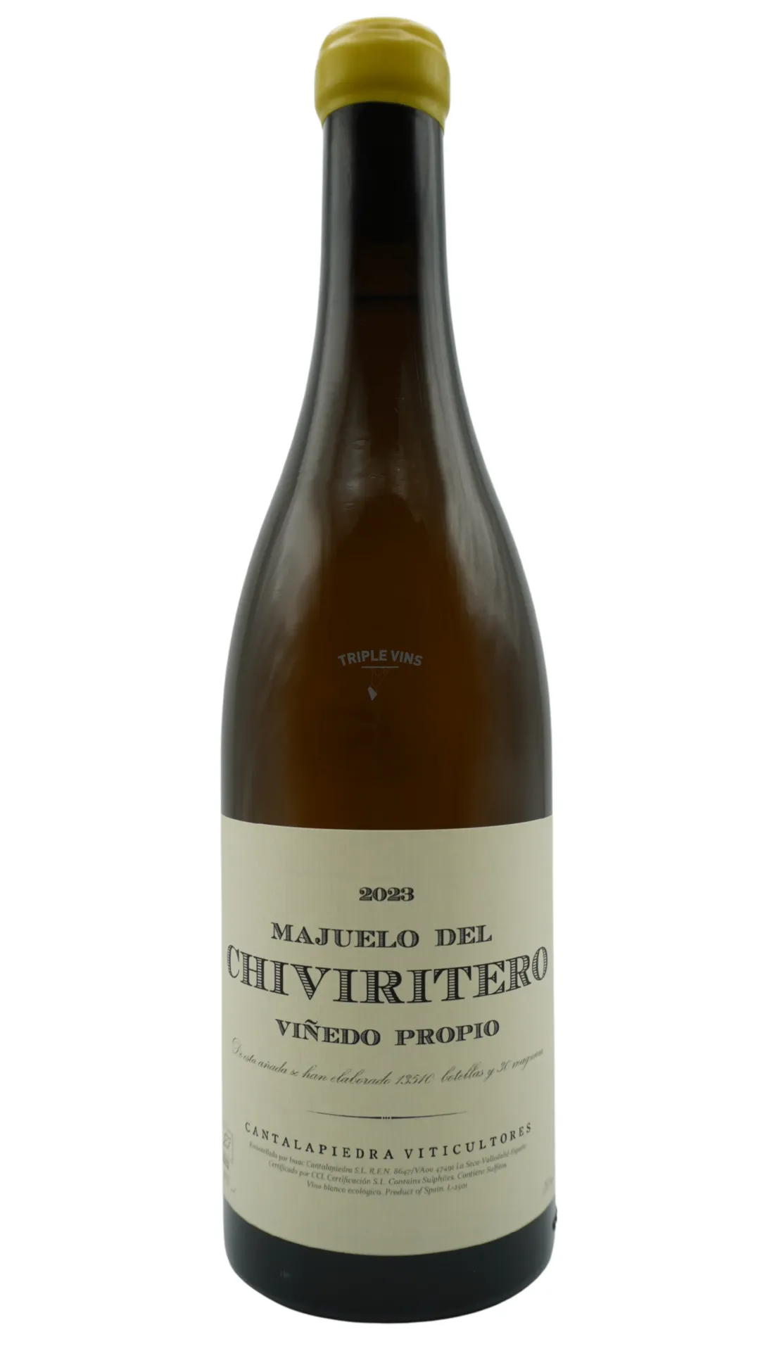 Rueda "Chiviritero" - Manuel Cantalapiedra 2023