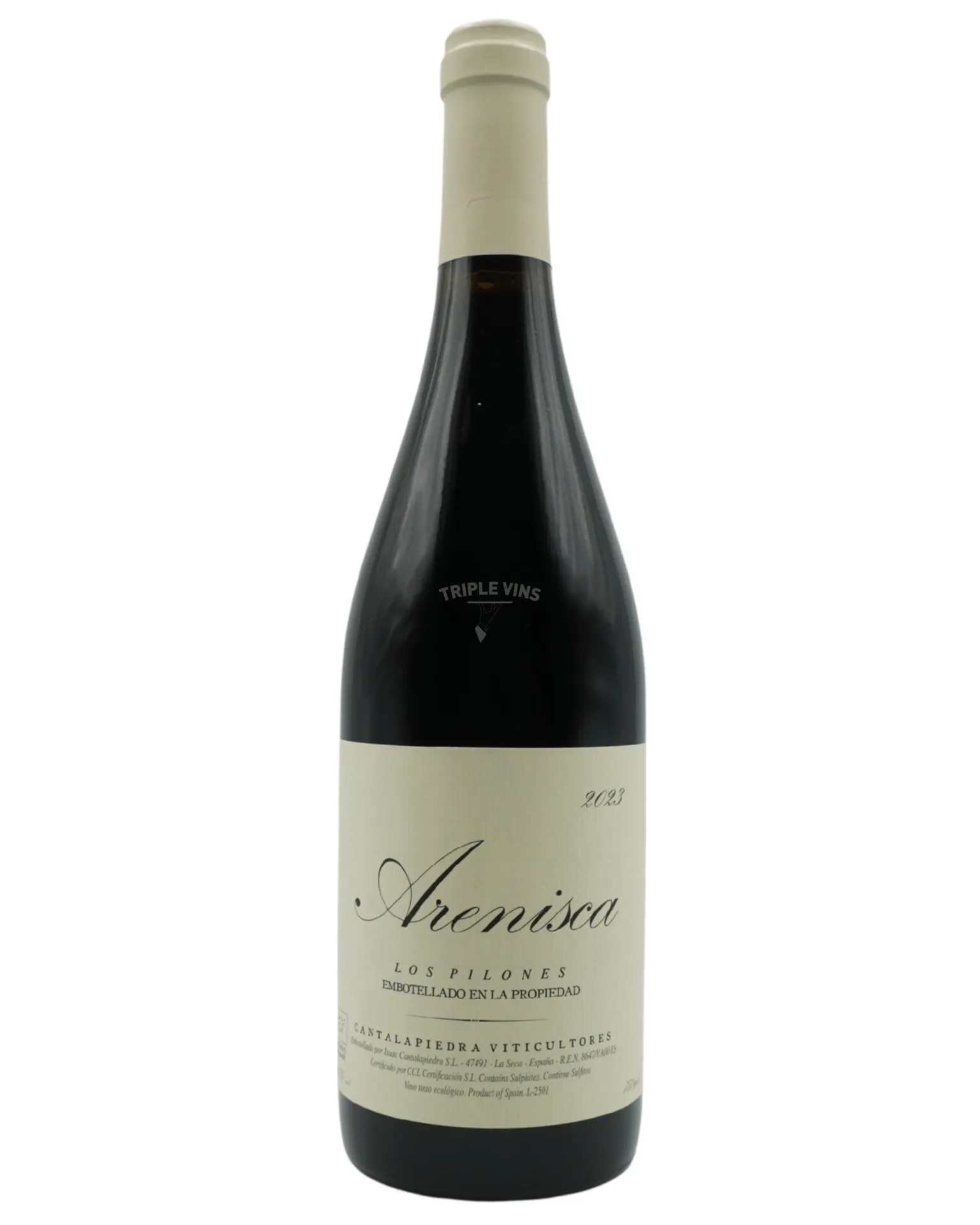 Arenisca Los Pilones - Manuel Cantalapiedra 2023